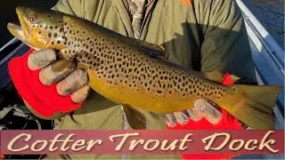 January 21, 2026 Arkansas Trout Fishing Report
