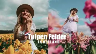 Tulpen Felder in den Niederlanden II Holland Urlaub Vlog