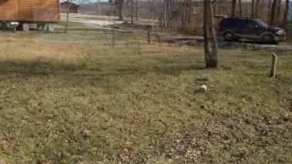 Cumberland Mountain Retreat Property