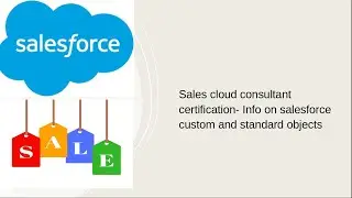Sales cloud consultant certification- Info on salesforce custom and standard objects