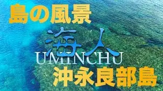 【沖永良部島 空撮】島の風景 「海人」素潜り漁師　４K