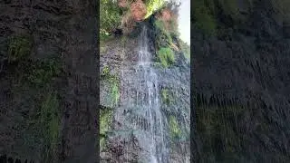 St Audries bay waterfall #Somerset  #offthebeatentrack  #beachwalk  #hiddenbeaches #asmrsounds