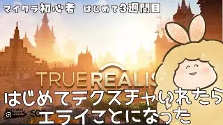 【マイクラ】テクスチャパック「TrueRealism HD」入れてみたら大変なことになった【初心者】