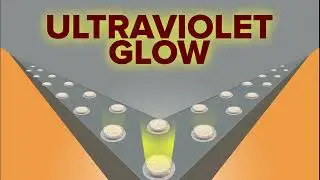 Optical Gel bird barrier Promo Video 60 Second Spot