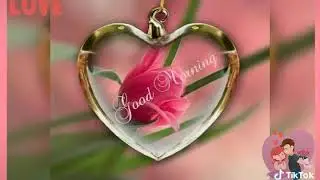 good morning song status whatsapp  F-Series Official
