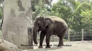 iPhone 14 Pro ProRes 4k 30fps Sample
