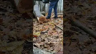 Аккумуляторная пила Greenworks GD82CS51 3.4 кВт 8Ah! Мощь! Прощай бензопила!Goodbye gas chainsaw!