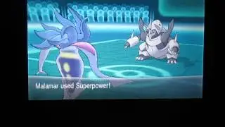 Malamar Sweep