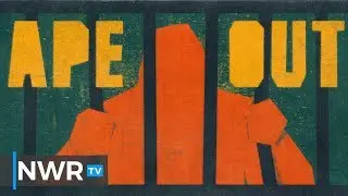 28 Minutes of Ape Out Gameplay (PC Direct Feed)