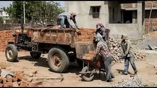 Monkey Construction 🚧🏗️ , Monkey make a Home 🏠 #monkeyvideo #viralvideo 