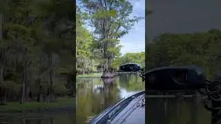 Some wind therapy on Caddo Lake