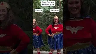 Same Costume Different Costumes: Try On!