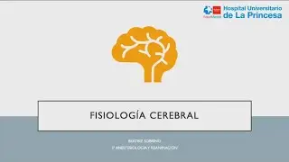 Fisiología Cerebral 2021