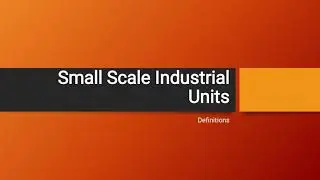 INDIAN ECONOMY - SSI