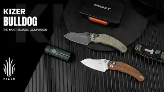 Meet the Latest BULLDOG Variants