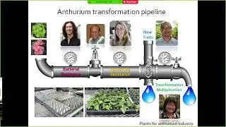 Part 5 Development of a Germplasm Bank - Dr. Tracie Matsumoto