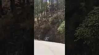 nagri bridge  osm view