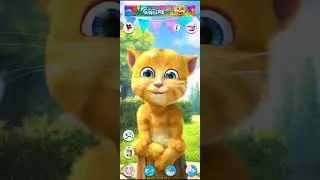 Talking Ginger 2