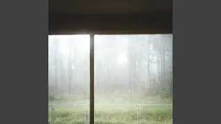 dream withdrawal