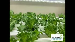 LED GROW LIGHTS EXPLAIN TAGALOG