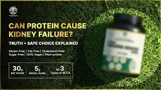 Can Protein Cause Kidney Failure? The Truth + A Kidney-Safe Choice | Uveda Naturals