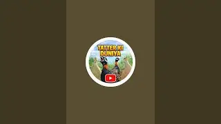 Teetar ki Zindagi | Teetar ke Anday, Bachay aur Puri Maloomat | Live