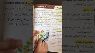 الصف السابع/علوم/درس مملكة النباتات @مي_الزعبي #الصف_السابع #المنهاج_الاردني