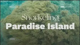 SNORKELING @PARADISE ISLAND SAMAL | MARY CRIS