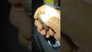 Airgun repair , junior mangio terrano
