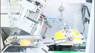 One-Stop Packaging Solutions &ndash; From Primary Packaging to End-of-Line Automation