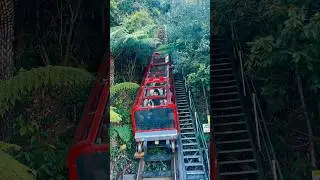 #scenicworld #scenicrailway #bluemountains #nsw #australia #fyp