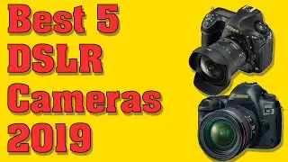 Best 5 dslr cameras in 2019 | Hindi | Abhay Sawant