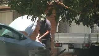 Private Investigator Perth , Alpha Investigation Services