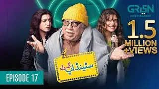 Standup Girl Episode 17 | Digitally Powered By Master Paints | Pediasure, Telenor | Zara Noor Abbas