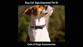 Dog Cat Tags Engraved Pet ID Name Collar Pet Paw Glitter Pendant | Cats & Dogs Accessories