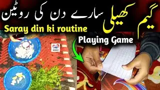 Playing game 🎮 | saray din ki routine | NB family @Fatimafaisal @Sistrology @rajabbutt94