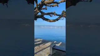 Wollerau, Schweiz. Здесь живут самые богатые люди в Швейцарии. Спасибо за подписку ❤️