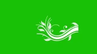 Flourish Green screen ● Motion graphics animation ●  Video background