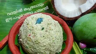 വായിൽ കപ്പലോടും ഈ പച്ചമാങ്ങാ ചമ്മന്തി 😋😋