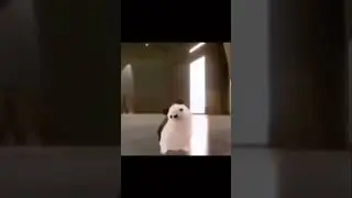Hedgehog Dancing With Hash Brown