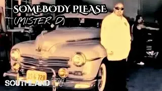 Mister D Somebody Please ( OFFICIAL THROWBACK 2010 VIDEO)