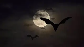 Revealing Reborn Baby Vampire