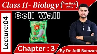  Cell Wall | Structure of Cell | 1st Year Biology New Book 2025 | Chapter 3 | lec 04 | By Dr. Adil 