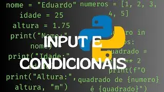 Dominando Inputs e Condicionais em Python: Guia Completo para Iniciantes