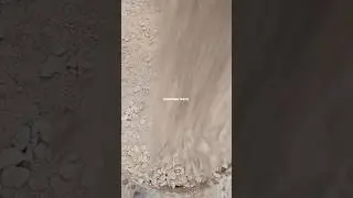 Brown Gritty Sand Dust Play ASMR &hearts;️#crunchycrumbles #crunchynoises #asmr #satisfying Watch Ful Video