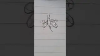 #funny #fly #pencildrawingart #drawing #art #shorts @phornraksmey5079