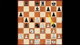 King's Indian, Samisch, Panno main line   #viral #chess #ytshorts #grandmasterlevel
