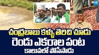 Farmer Dumps Onions Into Canal | Onion Farmers Facing Problems With Low Price | @SakshiTVLIVE