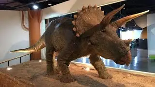 Seoul National Science Museum in Seoul, South Korea