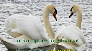 Ma tahaksin kodus olla